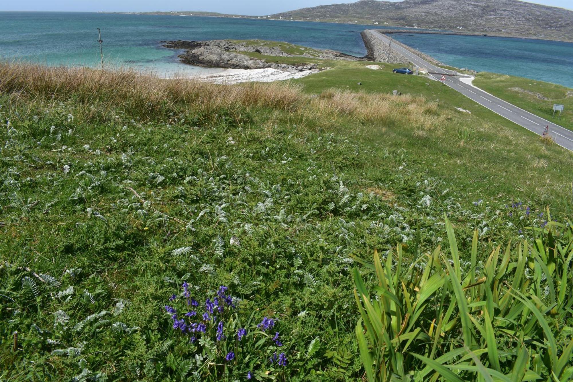 הוילה Glamping Pod For 2 Pod Beag Na Haun Eriskay מראה חיצוני תמונה